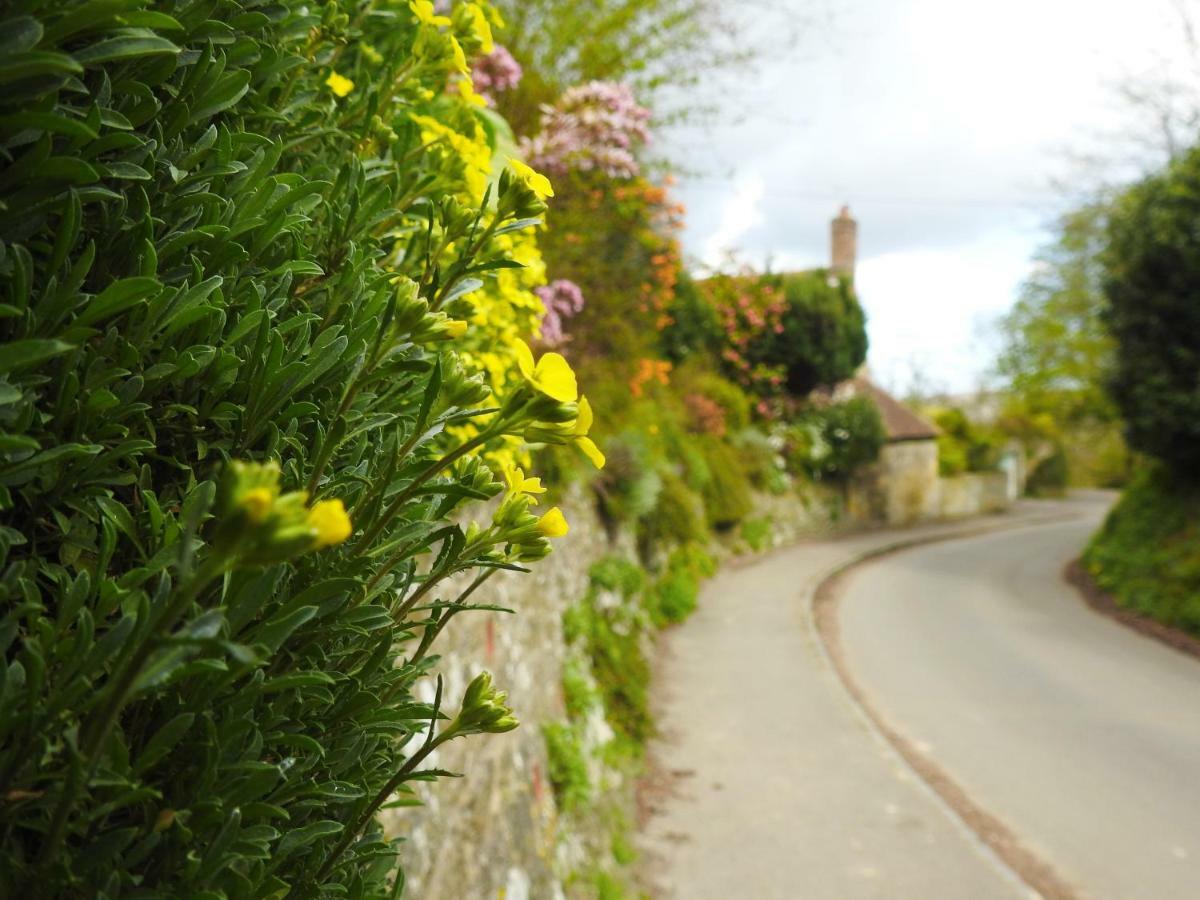 Church Combe - Petworth West Sussex Bagian luar foto