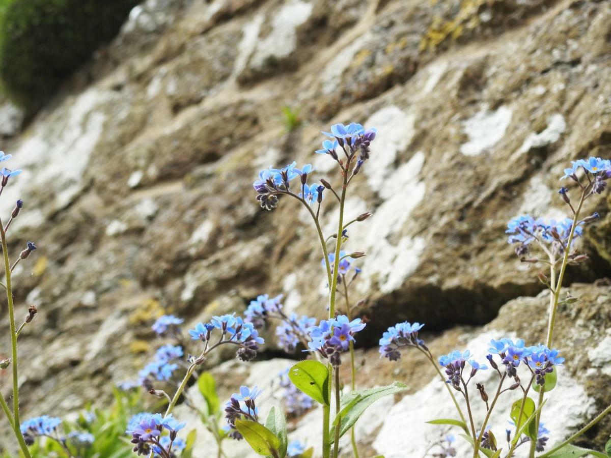 Church Combe - Petworth West Sussex Bagian luar foto